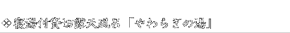 QtݐؘIVC炬̓
