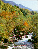 紅葉と平湯川